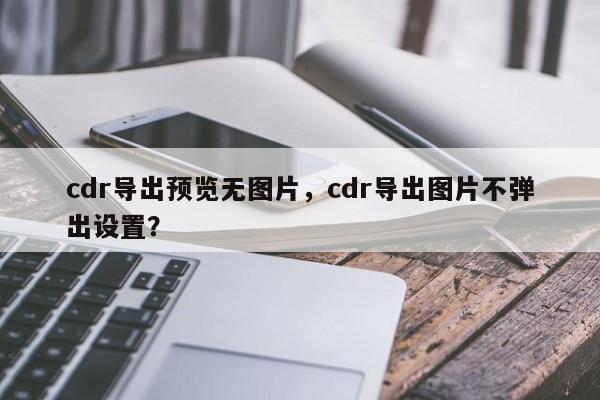 cdr导出预览无图片，cdr导出图片不弹出设置？